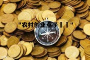 农村创业点子具体有哪些，"农村创业点子		"