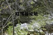 包含红河谷论坛的词条