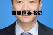 南岸区委书记历任名字，南岸区委书记