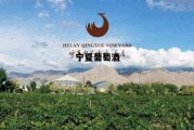 宁夏葡萄酒有什么品牌好，宁夏葡萄酒