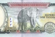 人民币比尼泊尔卢布，尼泊尔卢比人民币