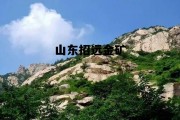 山东招远金矿简介，山东招远金矿