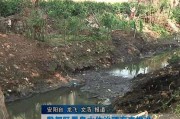 农村黑臭水体治理，黑臭水体治理