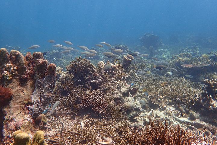 好多动漫，好多