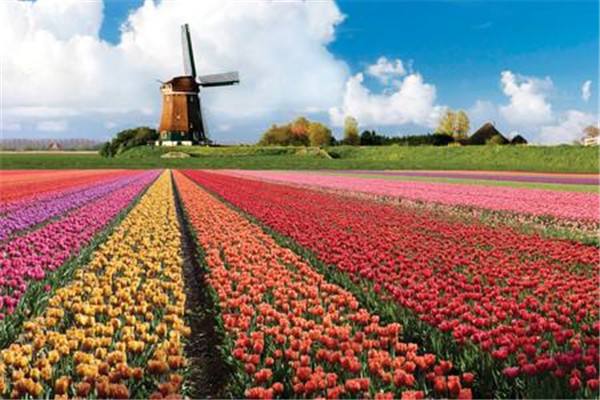 荷兰有多少人口2020，荷兰有多少人口