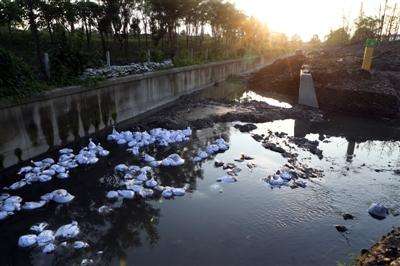 黑臭水体原因，黑臭水体