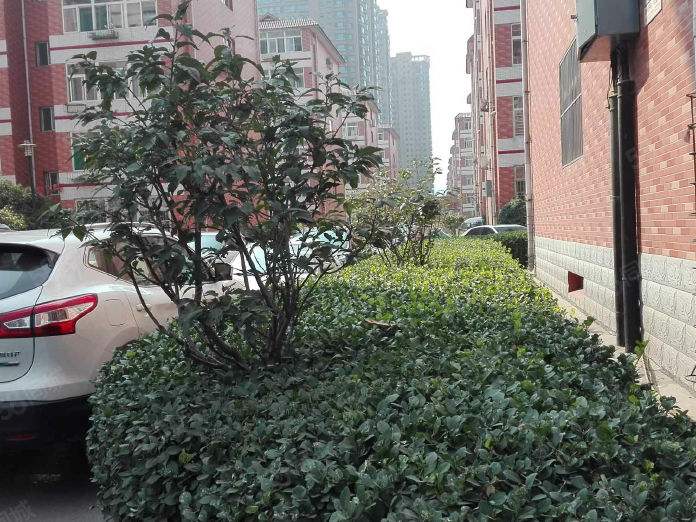 和平北路属于哪个区，和平北路