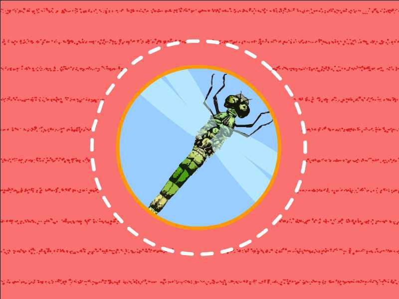 横脉是什么意思，横脉