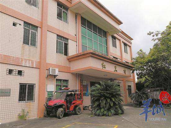 红卫村书记，红卫村