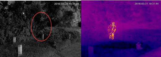 红外热成像是检查什么，红外热成像