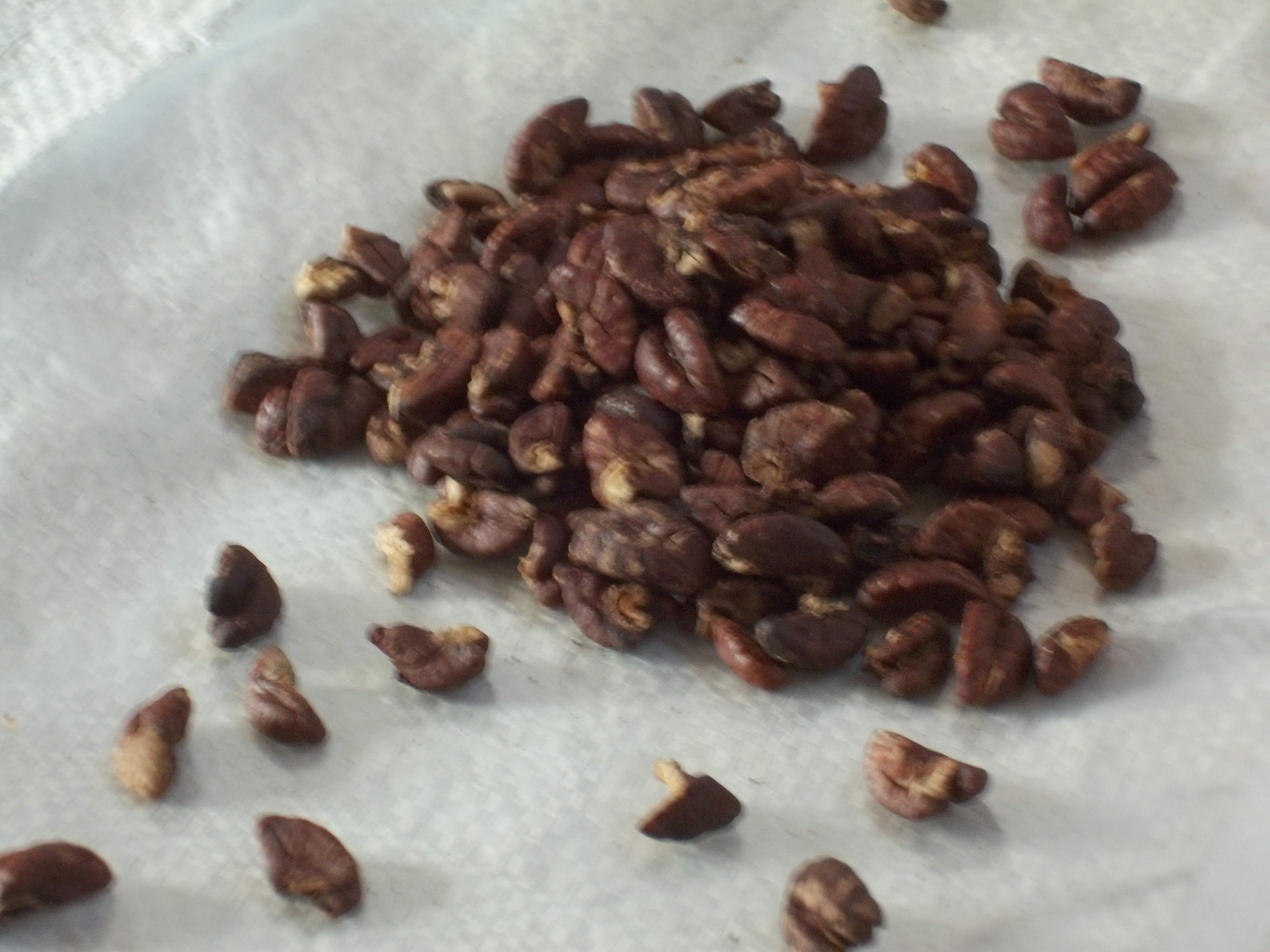 胡桃仁的图片，胡桃仁