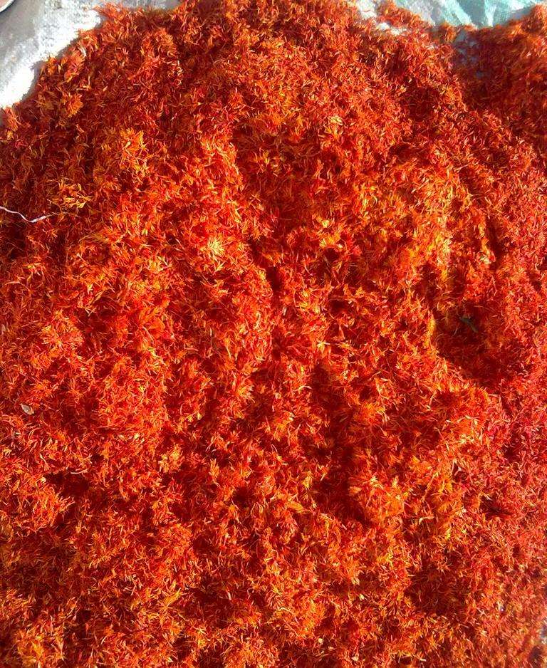 红薯中文网签约容易吗,红薯中文 红薯中文网签约容易吗,红薯中文