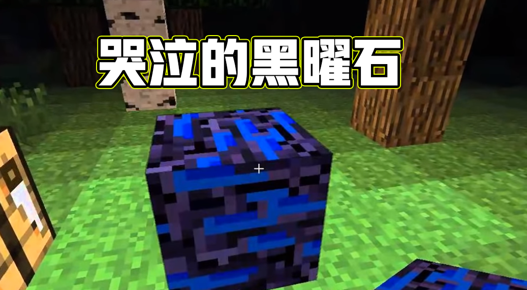 我的世界图片，黑的世界