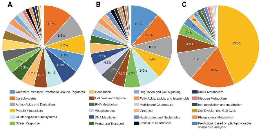 宏基因组学能够解决微生物研究中的哪些问题?，宏基因组学