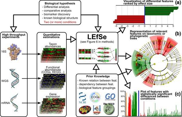 宏基因组学能够解决微生物研究中的哪些问题?，宏基因组学