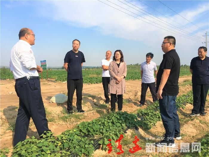 贺湘如郝振飞，贺湘如