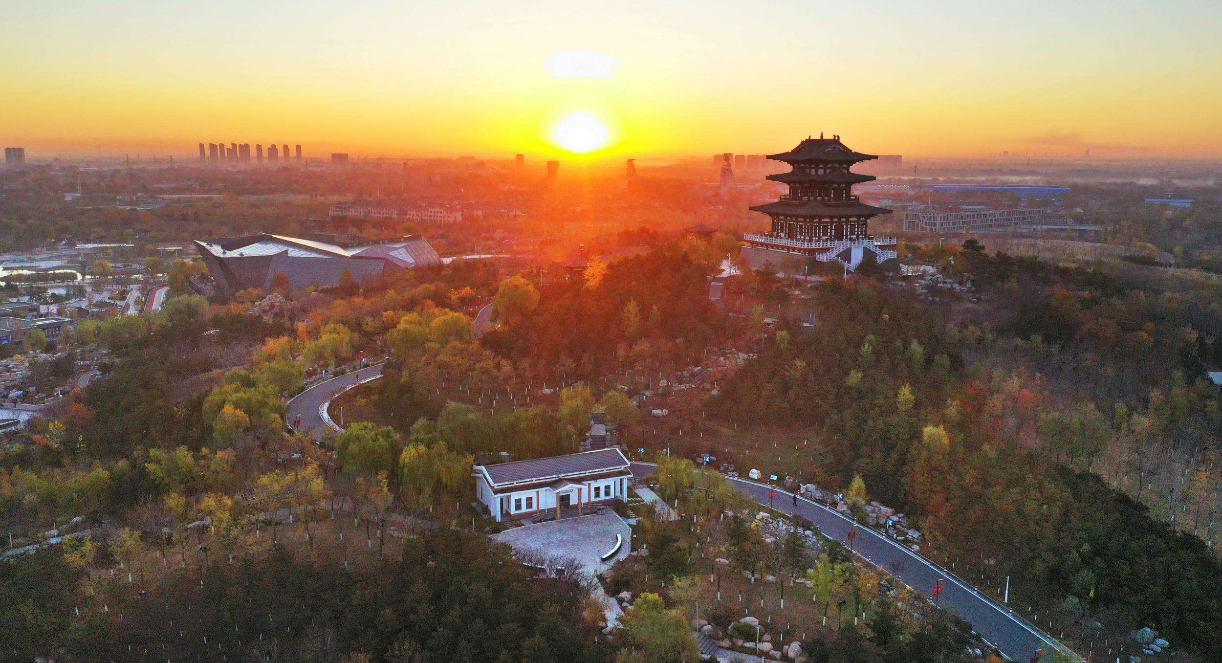 河北唐山阳光赛鸽公棚小棚，河北唐山