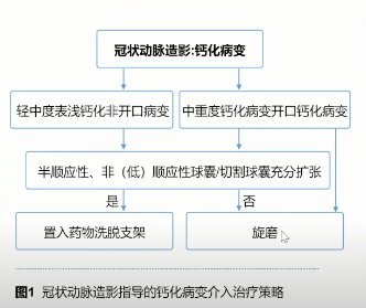 欧美扩张女王,欧美扩张 欧美扩张女王,欧美扩张