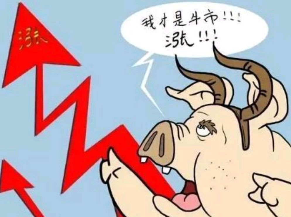 牛市来了吗2022，牛市来了吗