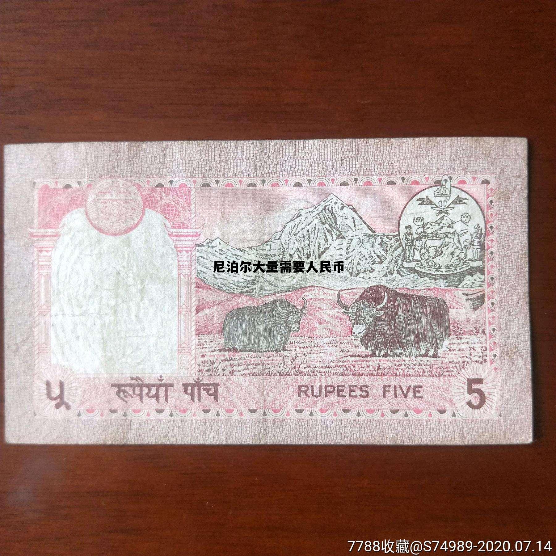 十几万人民币在尼泊尔生活，尼泊尔大量需要人民币
