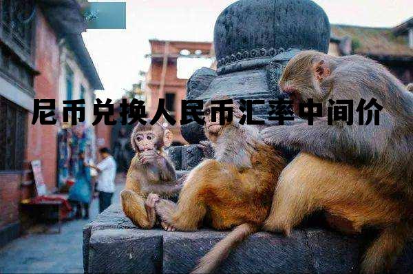 4000尼币兑换人民币汇率，尼币兑换人民币汇率中间价