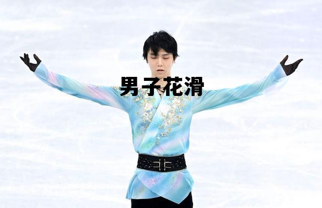 2022年冬奥会男子花滑,男子花滑 2022年冬奥会男子花滑,男子花滑