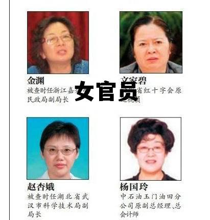 女官员的简单介绍 女官员的简单介绍