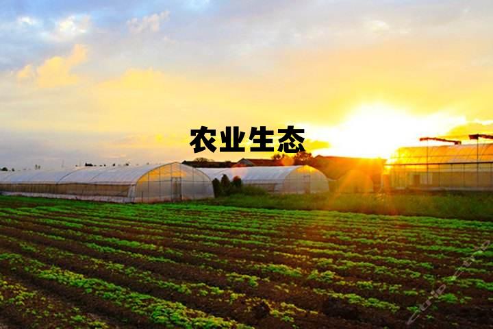 农业生态园,农业生态 农业生态园,农业生态