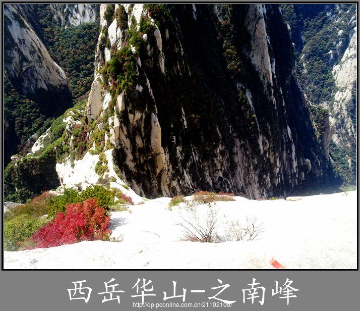 南峰发布网，南峰