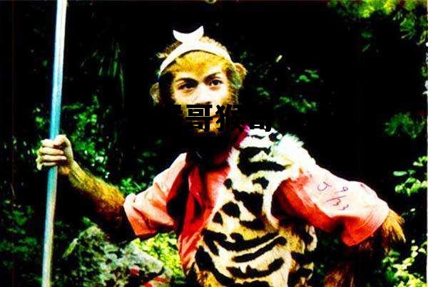 猴哥猴哥是哪个动画片,猴哥猴哥 猴哥猴哥是哪个动画片,猴哥猴哥