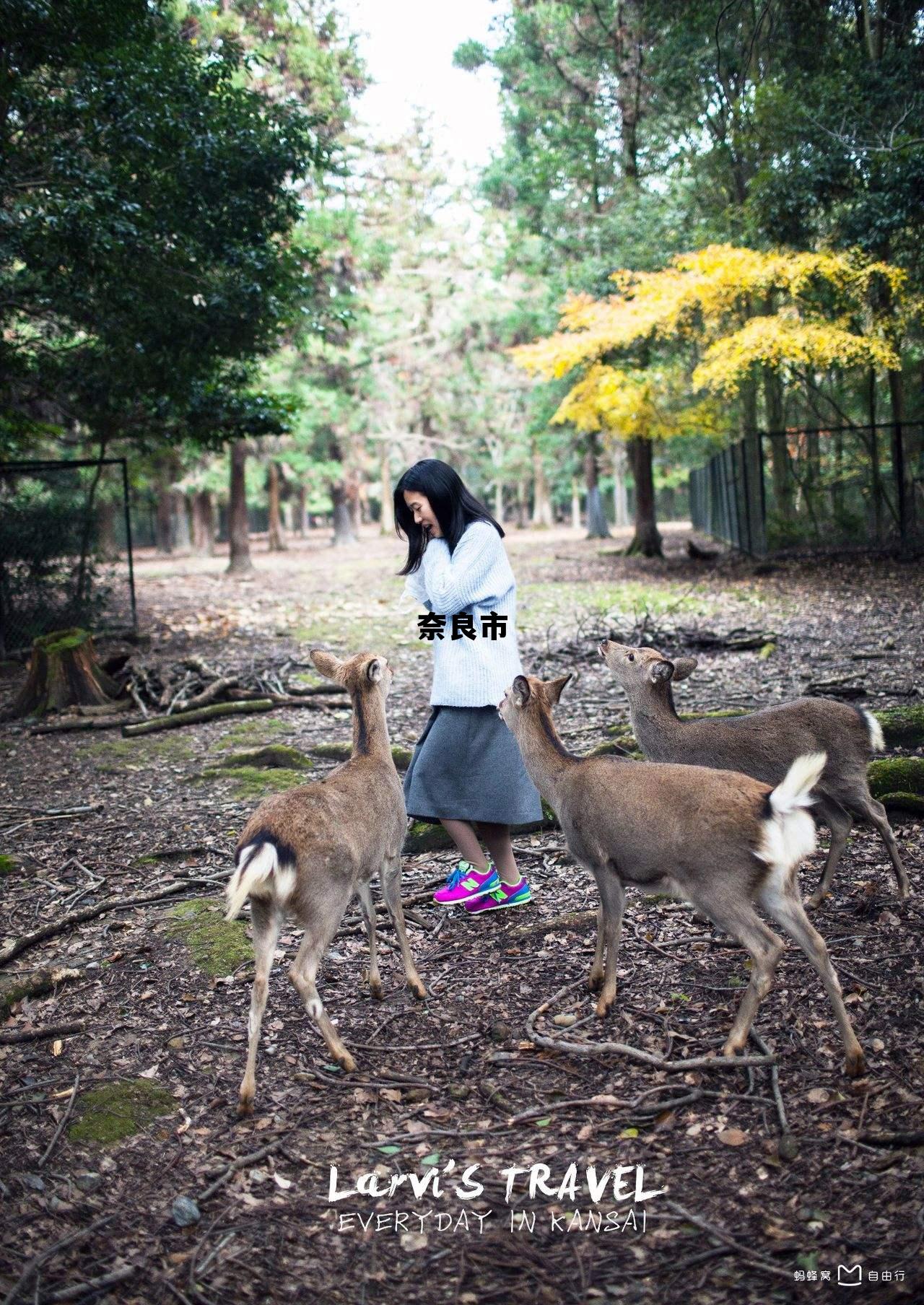 奈良市gdp,奈良市 奈良市gdp,奈良市