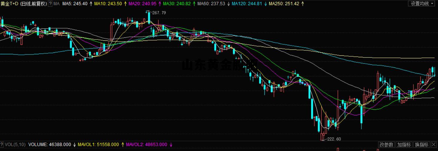 山东黄金股吧最新消息，山东黄金股吧