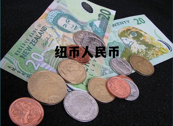 纽币人民币换算，纽币人民币