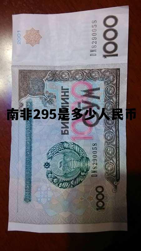 南非200纸币折合人民币，南非295是多少人民币