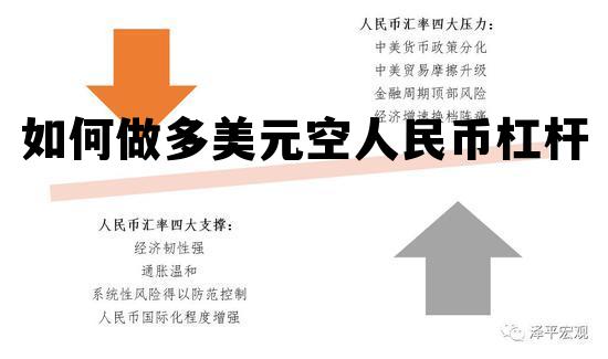 如何做多美元空人民币杠杆的简单介绍 如何做多美元空人民币杠杆的简单介绍