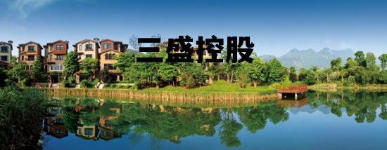 三盛控股市值，三盛控股