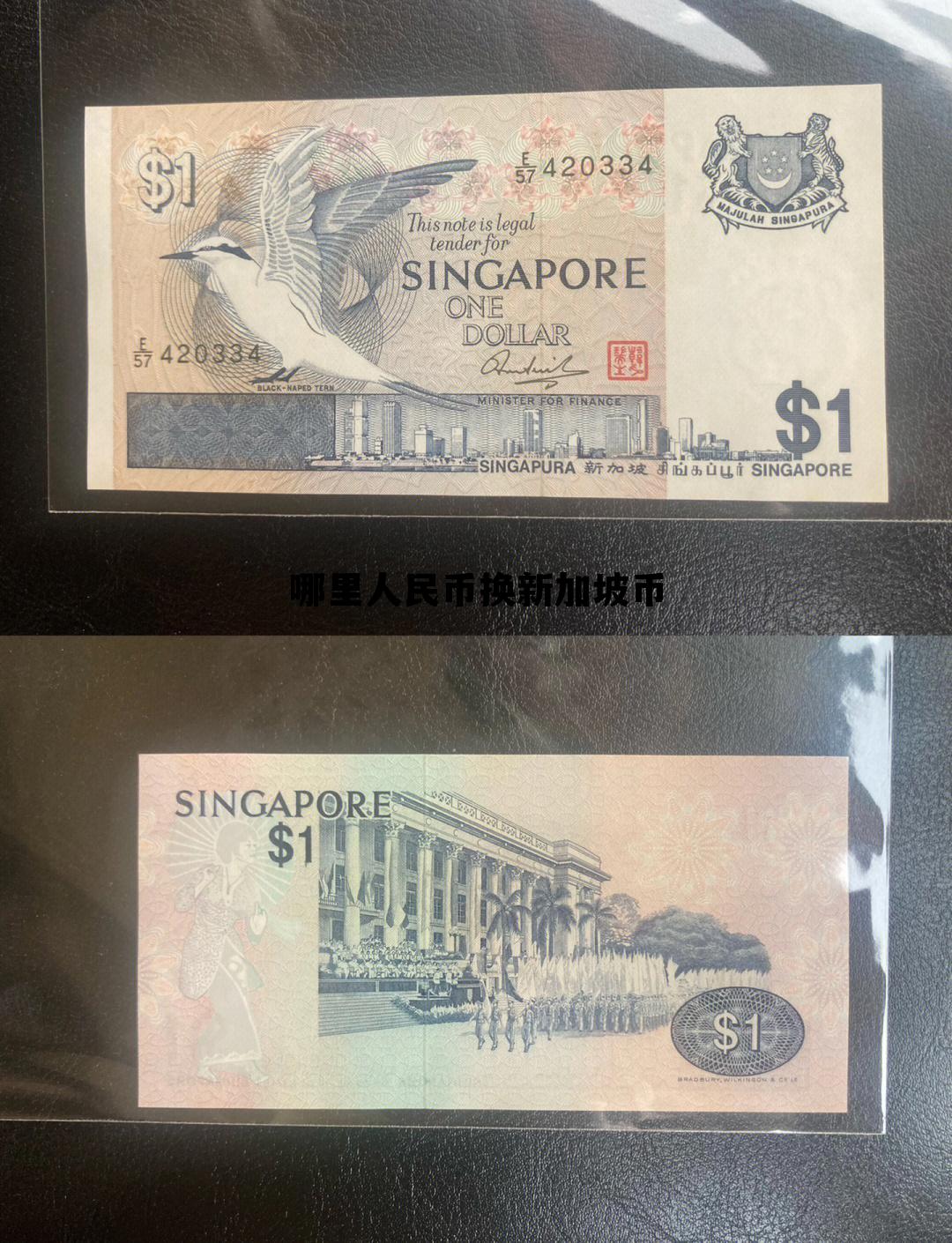 哪里人民币换新加坡币最多，哪里人民币换新加坡币