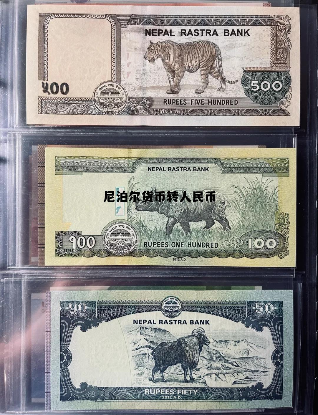 尼泊尔的钱换人民币多少钱，尼泊尔货币转人民币