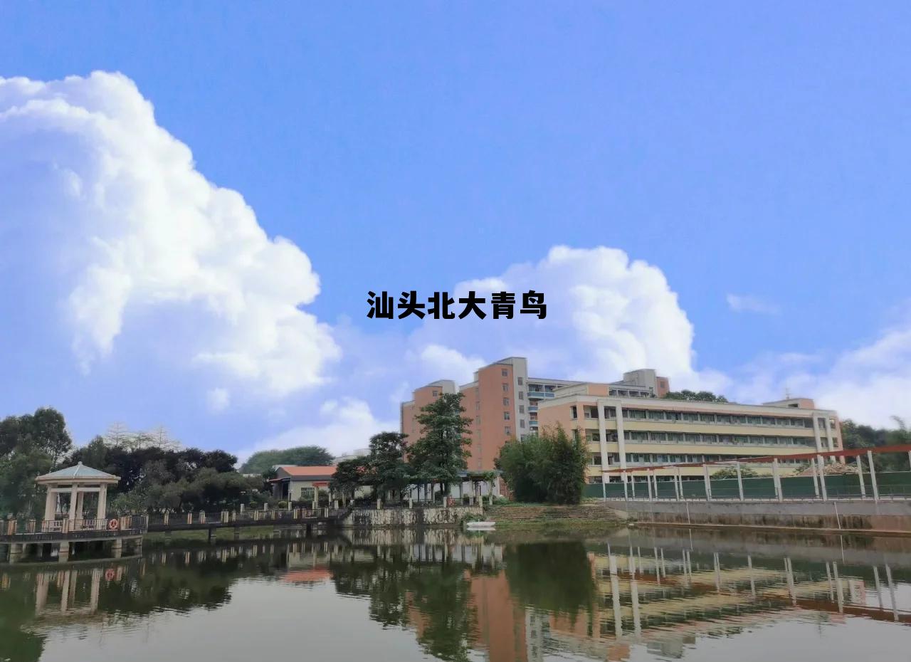 汕头北大青鸟学校，汕头北大青鸟