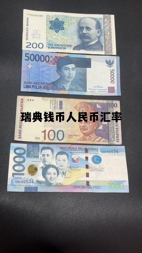 瑞典钱币人民币汇率换算，瑞典钱币人民币汇率