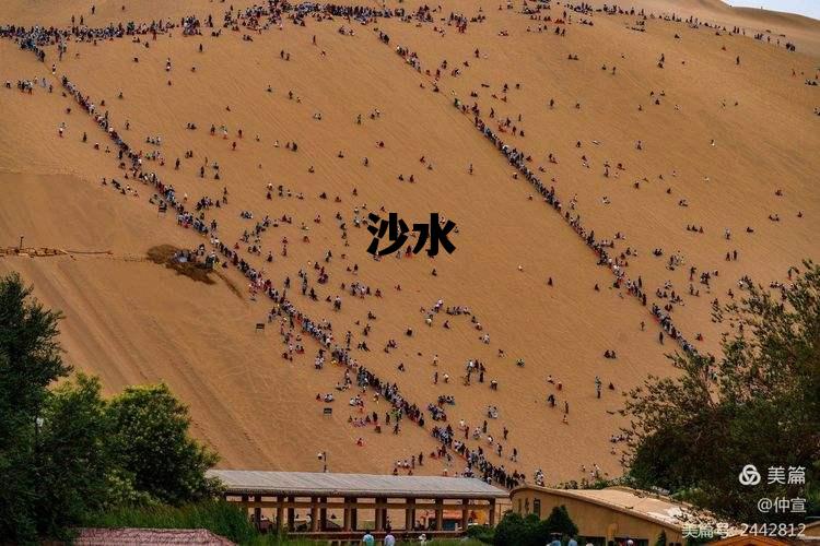 沙水区活动目标，沙水