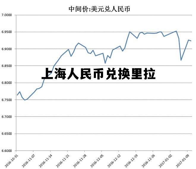上海人民币可自由兑换2021年，上海人民币兑换里拉