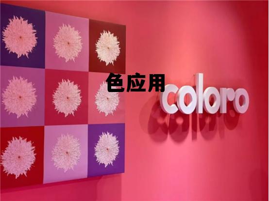 首页热门应用,色应用 首页热门应用,色应用