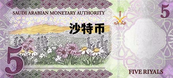 沙特币兑换人民币汇率是多少，沙特币