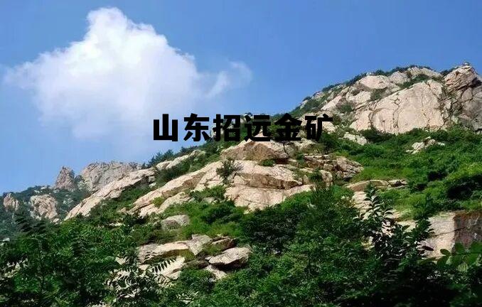 山东招远金矿简介，山东招远金矿