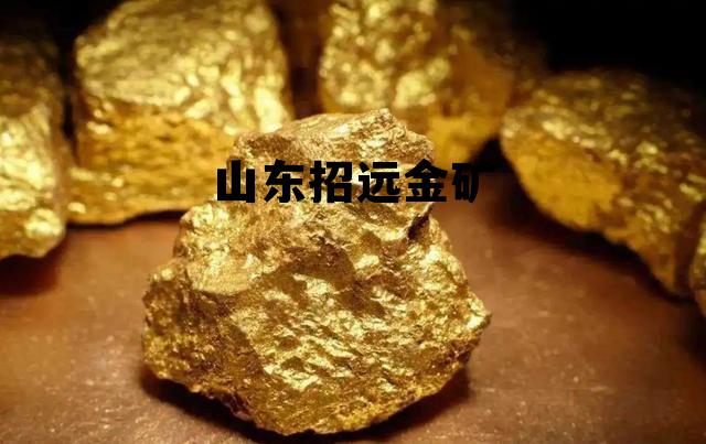山东招远金矿简介，山东招远金矿