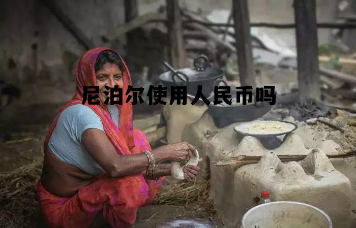 尼泊尔用美元吗，尼泊尔使用人民币吗