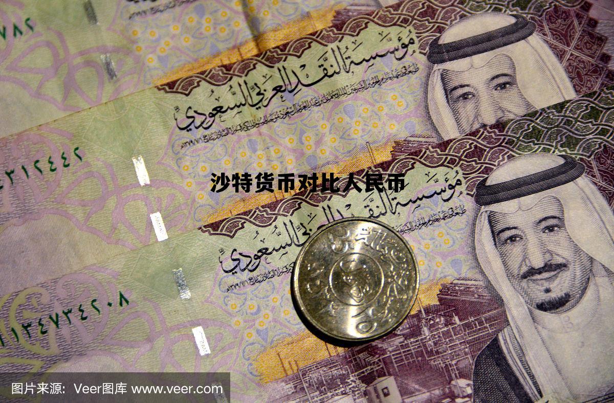 沙特币对人民币汇率多少，沙特货币对比人民币